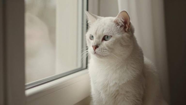 茅台在贵州省第二届职工职业技能大赛上斩获