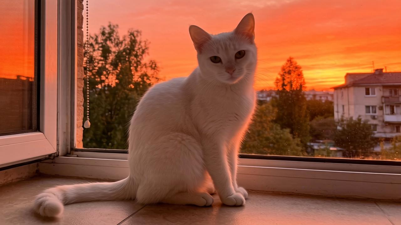 山西汾酒控股的公司被强制执行30.3万元 山西汾酒控股的公司被强制执行30.3万元第一张图