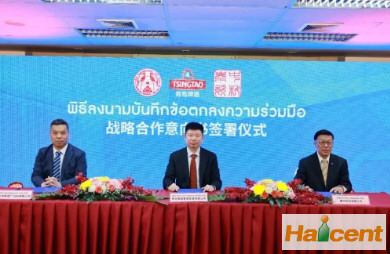 青岛啤酒与泰国卡拉宝、南荣集团签署战略合作