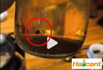 百威金尊被曝喝出黑色异物