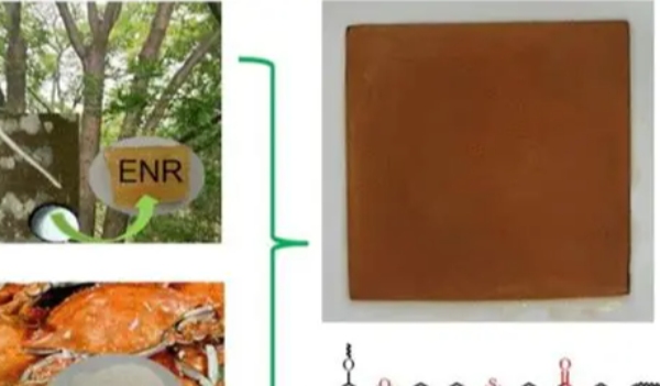 【绿色升级】我司生物基复合材料标牌量产,助力客户实现 “双碳” 目标(图2) 【绿色升级】我司生物基复合材料标牌量产,助力客户实现 “双碳” 目标(图2)