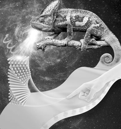 矽能新材料推出 “光影魔法” 智能薄膜,重新定义标识照明(图1) 矽能新材料推出 “光影魔法” 智能薄膜,重新定义标识照明(图1)